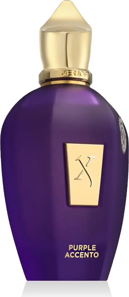 2b2ef288e10fe5087c40bf31fcbcfe9b XerJoff Purple Accento Eau de Parfum (100ml) – Bild 1